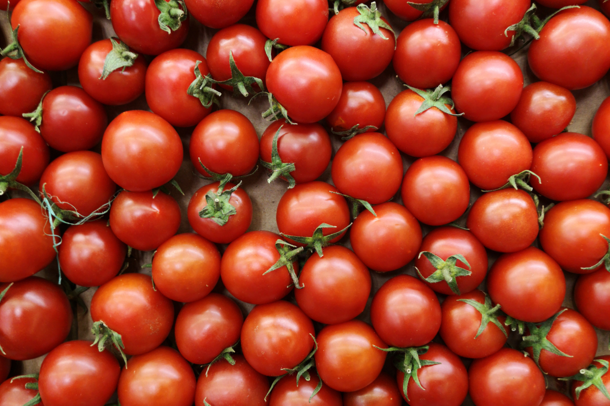 Tomato Varieties & Uses