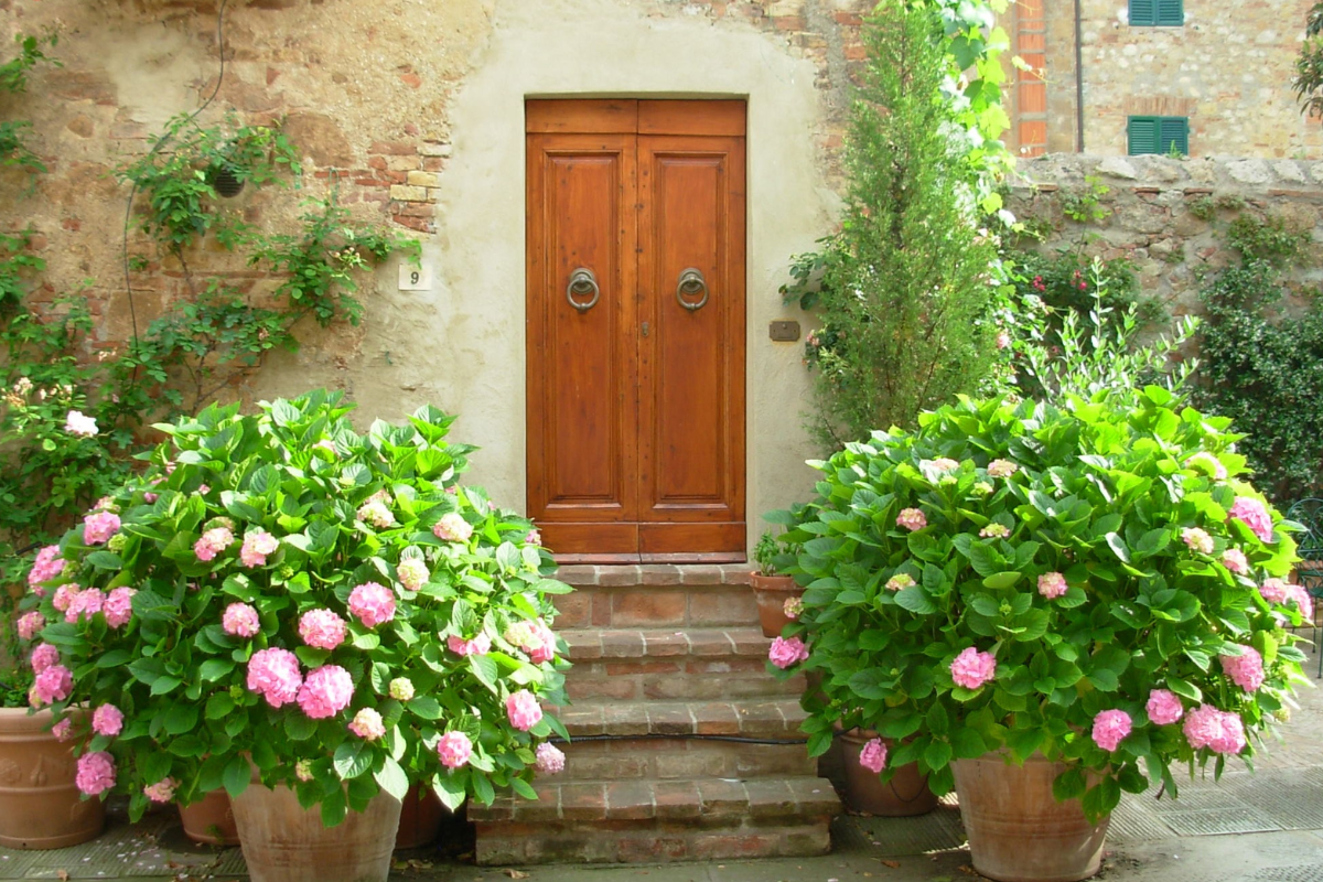 Blooms at Your Doorstep: Elevate Your Home with Porch Flowers