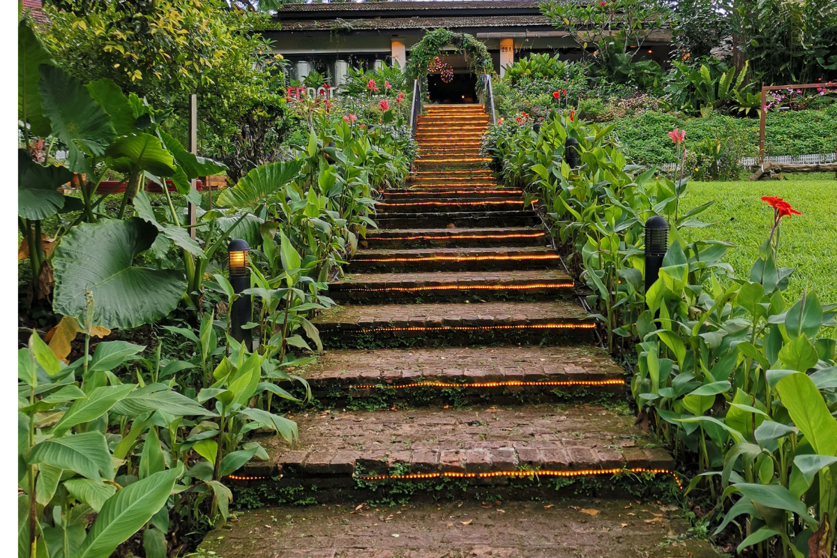 10 Tips for Creating Your Dream Garden Pathway