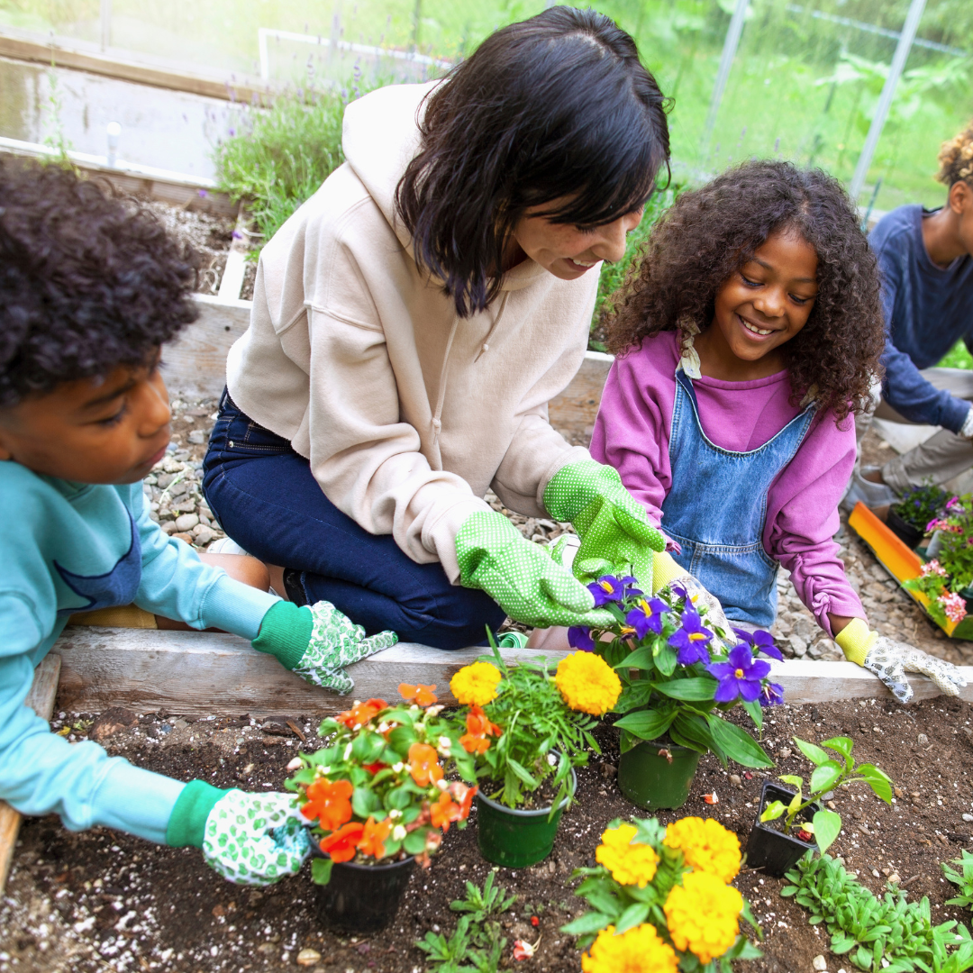Tips for Starting a Community Garden in your Neighborhood