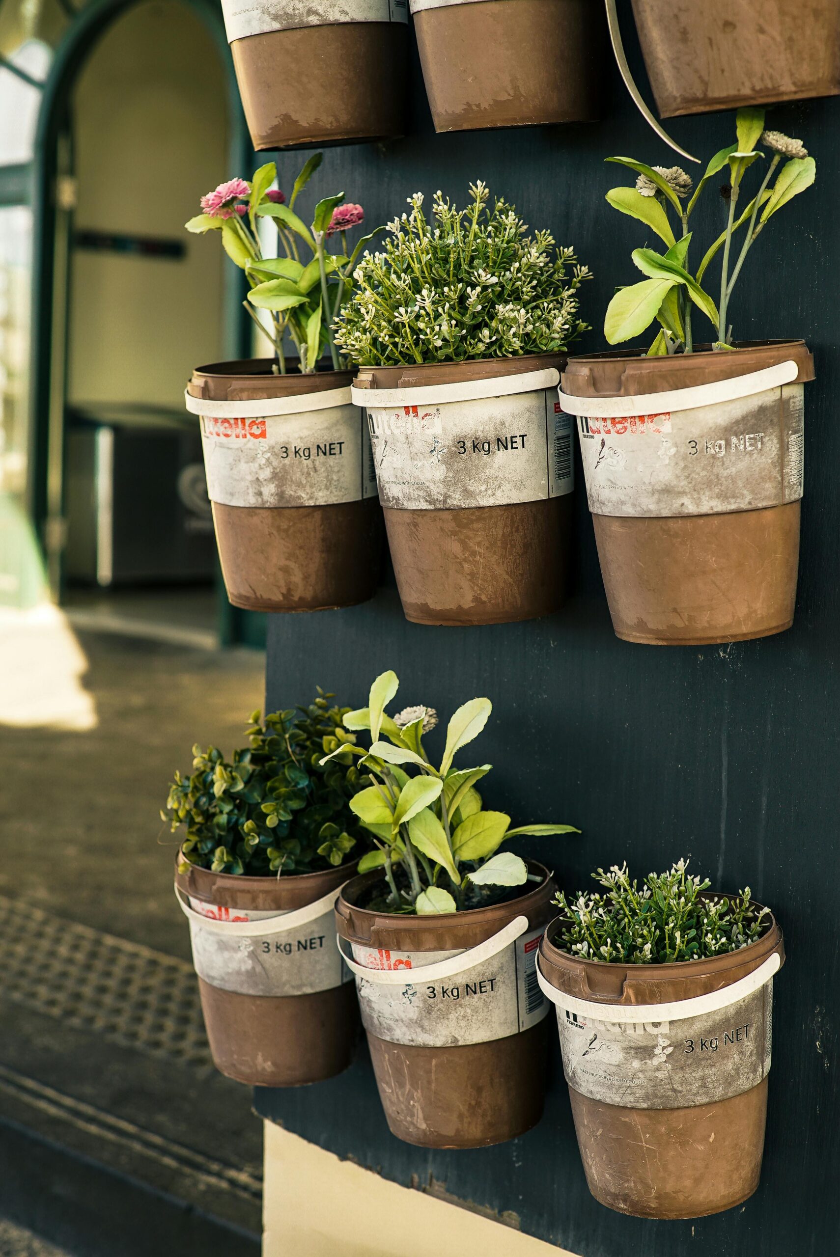 The Ultimate Guide to Organic Container Gardening for Small Spaces